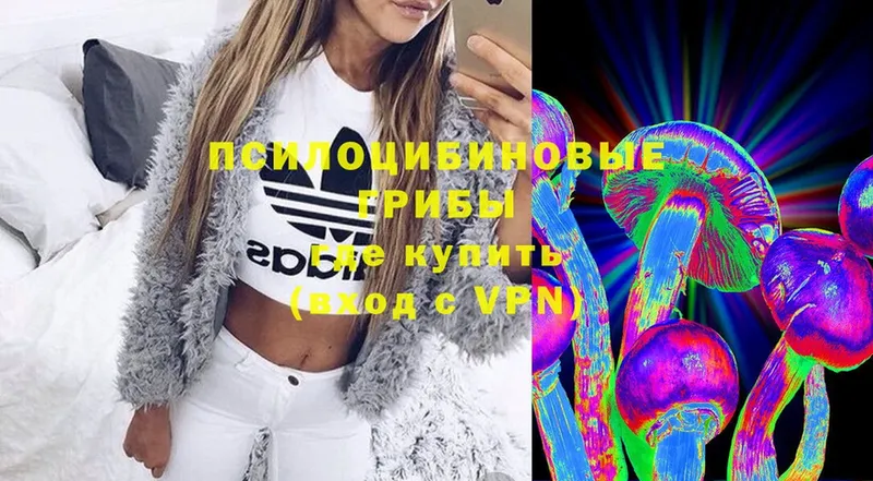 Галлюциногенные грибы Psilocybe  магазин    блэк спрут вход  shop как зайти  Артёмовский 